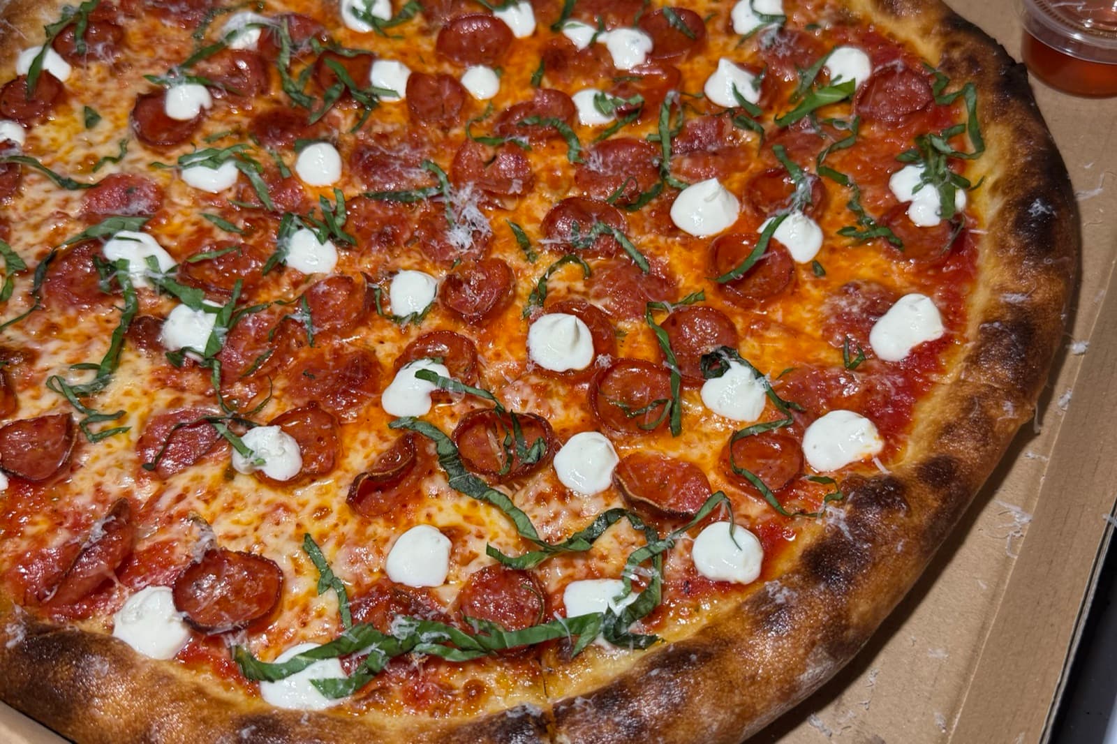 A 16-inch pepperoni, ricotta and basil pie in the box, crust blistered and browned